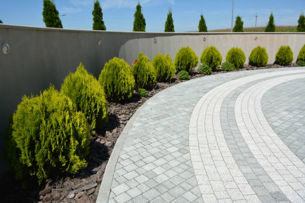 Best Eco-Friendly Driveway Paving in Leo Cedarville, IN